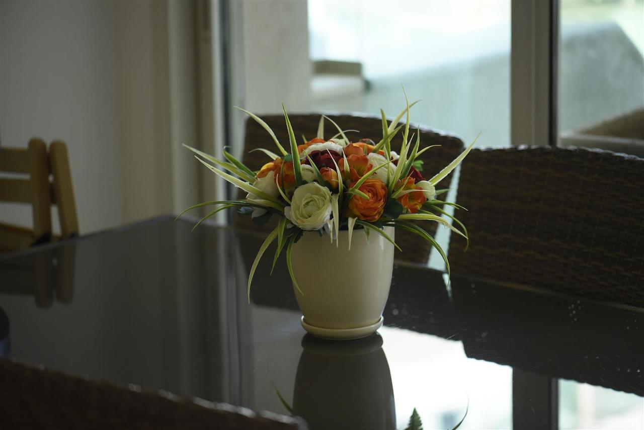 إيلات City Resort Palmore المظهر الخارجي الصورة